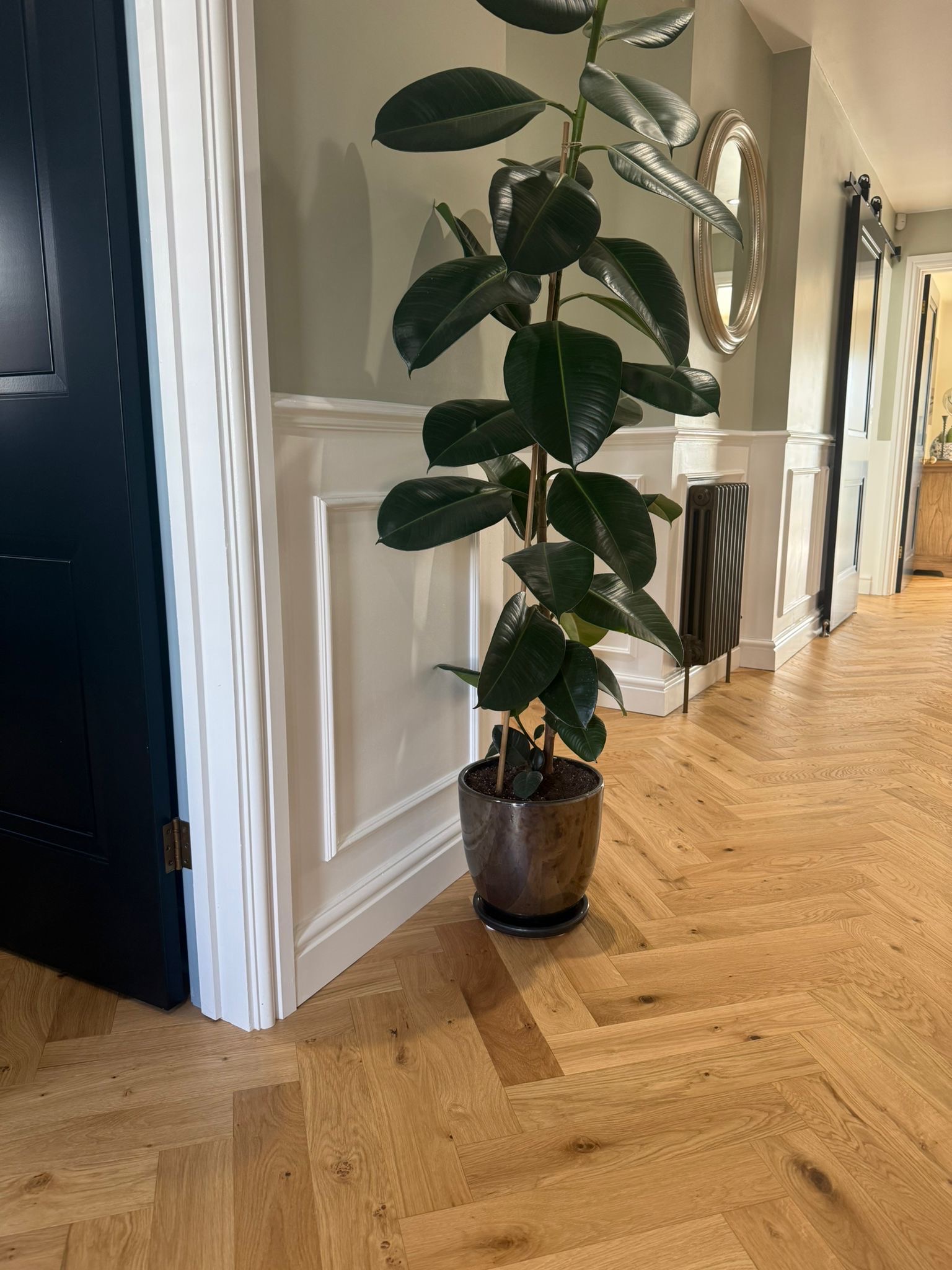 Herringbone against white panelling